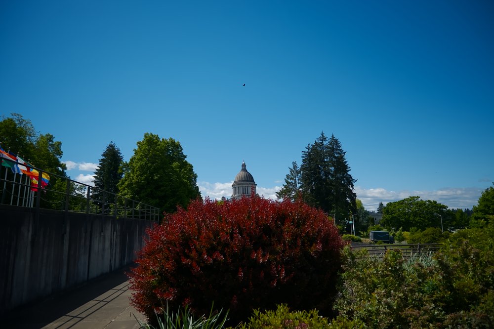 Capital