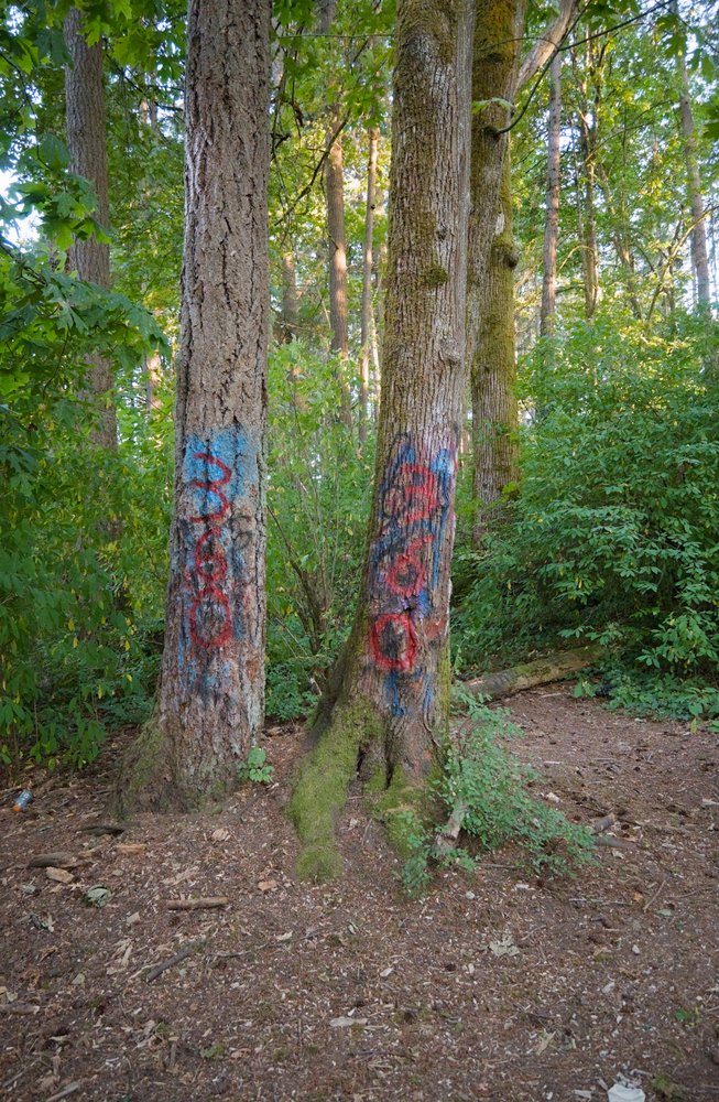 Graffiti