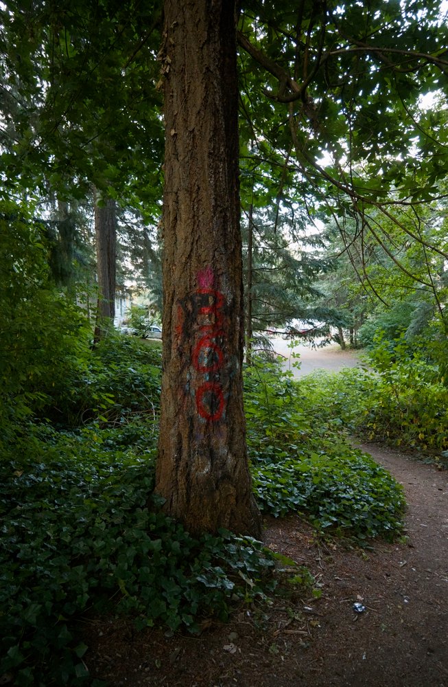 Graffiti
